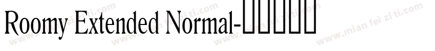 Roomy Extended Normal字体转换